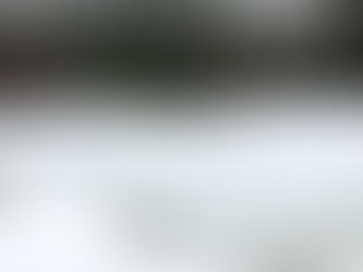 Recognizing World Wetlands Day