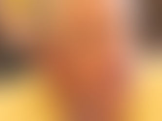 Norfolk councillors approve next-term pay raise