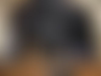 Panel discussion on IPV addresses actions to take amid epidemic declarations