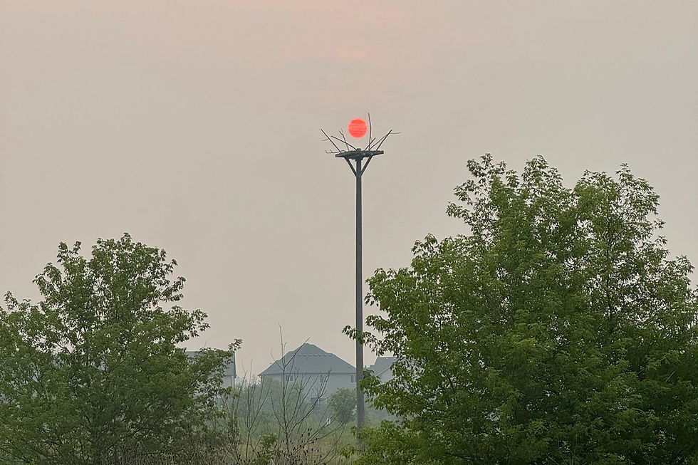 Wildfire smoke prompts cancellations, schedule changes across Wilmot