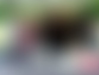 Grill, games and giving at Cedar Crossing