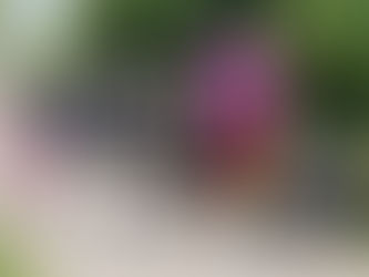 Norfolk Terry Fox Run returns Sept. 14 in Simcoe