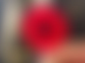 Royal Canadian Legion encouraged by membership growth as Remembrance Day approaches