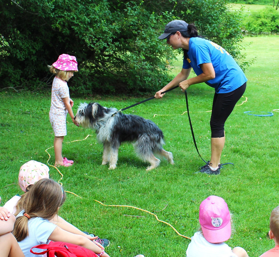 St. Marys Library Funday Friday goes to the dogs