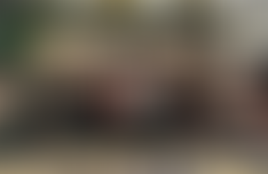 Local fair ambassadors represent Perth County at OAAS convention