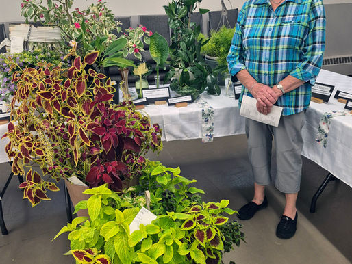 There is beauty everywhere in flowers