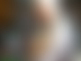 Outlook brightens for Humane Society, help still needed