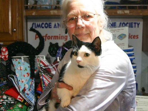 Outlook brightens for Humane Society, help still needed