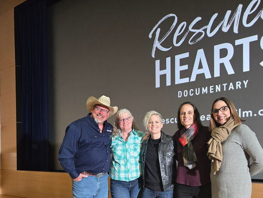 Rescued Hearts shows the healing power of horses