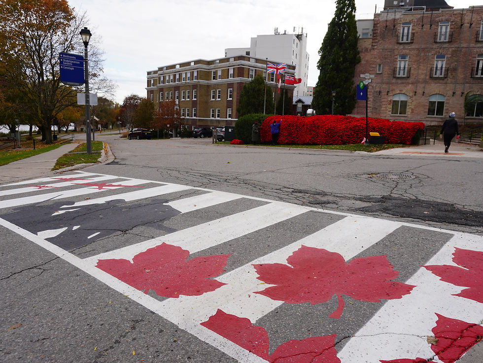 Last month, the City of Stratford painted a custom veterans memorial crosswalk at the York Street and Veterans Drive intersection. Designed by local artist Nancy Groenestege and spearheaded by the Army, Navy and Air Force Veteran’s Association Unit 261 (and residents Linda Scammell and Jodi Nakluski), the crosswalk was unveiled in time for this year's Remembrance Day ceremonies, but it will also be a year-round feature of Stratford for the years to come.
