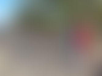 GeoReach program increases monitoring at locations on shoreline