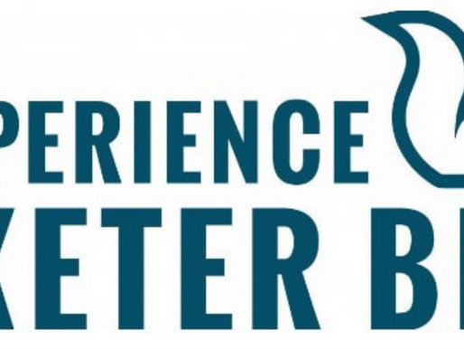 BIA rolls out supports as Exeter’s Main Street reconstruction begins