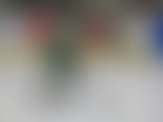 Lincs clinch playoff spot as win streak hits 13 games