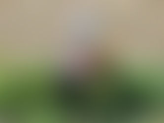 Walkerton teacher and four students killed in collision near Thorndale