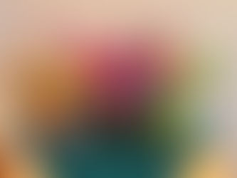 Rose fundraiser for Rotary Club