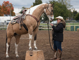 “New Beginnings” is the theme for the Burford Agricultural Society board