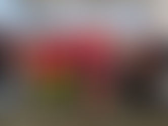 Wellesley’s Jingle Run brings holiday spirit and community support to a family in need