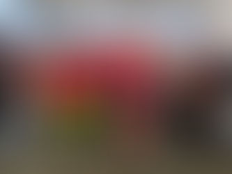 Wellesley’s Jingle Run brings holiday spirit and community support to a family in need