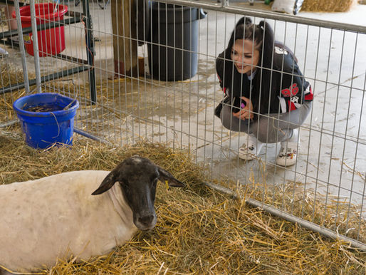 All are welcome to the Wainfleet Fall Fair