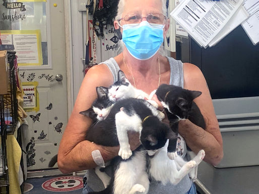 Humane Society asks for community support