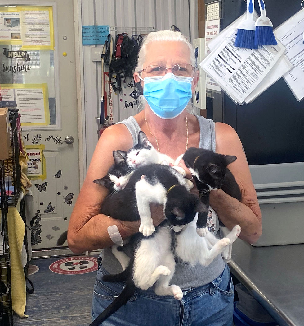 Cathie Hosken and her team manage the Simcoe & District Humane Society, currently operating from two trailers in Simcoe until their new building is finished… with no finish line in sight. Hosken is asking the community for help.