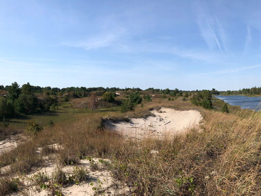 Research results shared at Field Naturalists’ meeting