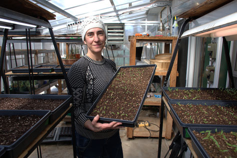 From the ashes, new plants and plans rise