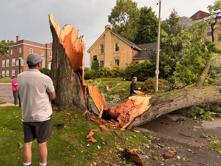 Clean up continues after Canada Day windstorm