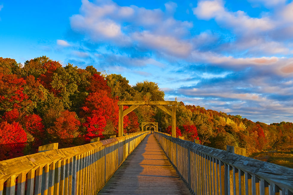 The Menesetung Bridge is used all throughout the year, a bridge for all seasons.
