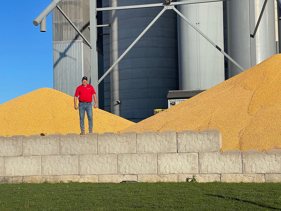 Pictured above is Field Crop Convenor Zenon Bender of Trouw Nutrition and Yantzi’s, who would encourage crop growing farmers in the area to enter the Tavistock Fall Fair 2025 field crop competition in the coming months. Gary West photo
