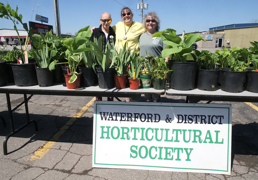 The Waterford and District Horticultural Society will hold its Annual Plant Sale on Friday, May 15, in the Foodland parking lot, 8 a.m. to 12 p.m.