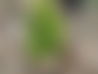 Nominations Open for Conservationist of the Year Award