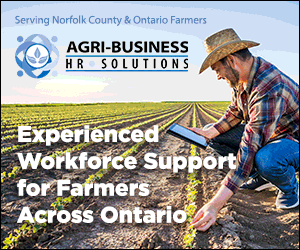 NF_BigBox_AgriBusHrSol.gif