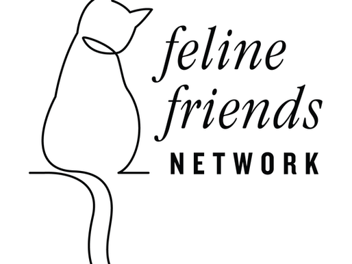 Feline Friends Network of Stratford reaches 20-year anniversary