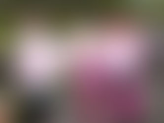 CIBC Run for the Cure returns Oct. 5 in Simcoe