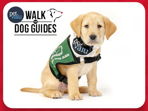 Pet Valu Walk for Dog Guides returns May 31 to support Canadians with disabilities