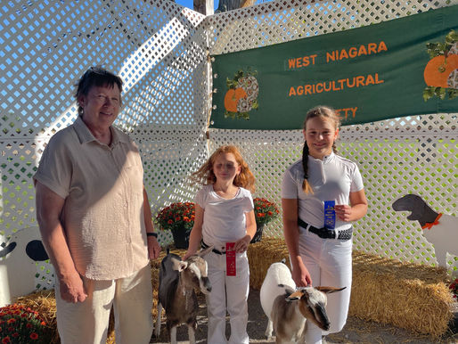 Goat club members show off their skills
