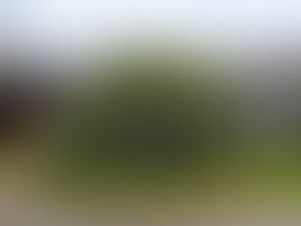 Tornado hits Woodstock and area with minor damage reported
