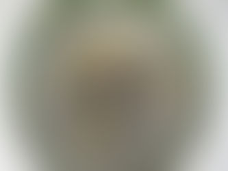 Ceramics: An Environmental Journey With Clay