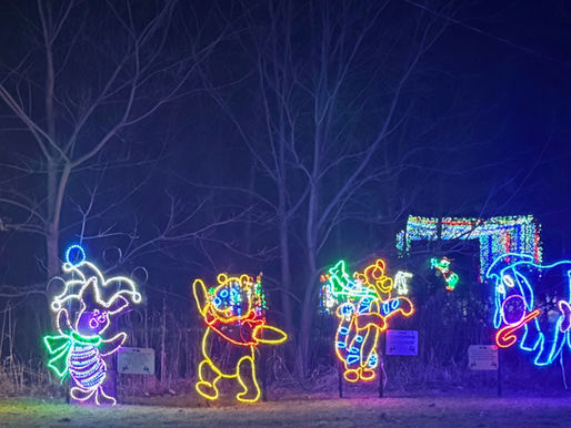 Two Lighting of the Lights Displays Stolen from Victoria Park 