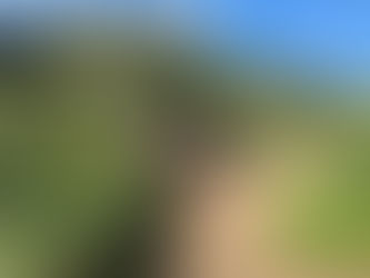 Canadian Foodgrains Bank making a difference to world hunger