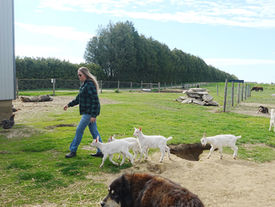 From Farm to Family: Heidi Mungal’s commitment to good food and education