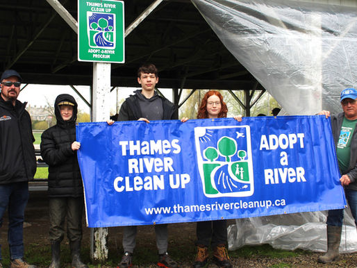 Cleaning up the Thames River for 27 years