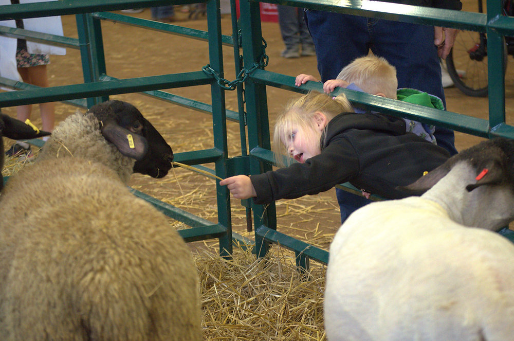 It'll be here before you know it: A fall fair preview