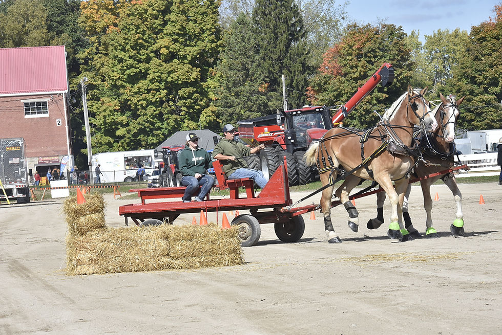 Farm Chore is a competition at the Norfolk County Fair that involves drivers with a horse and wagon performing tasks that would be done by their forefathers decades ago. This includes backing into a loading dock.