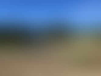 Update on the 2025 Canadian potato variety trial presented at Canadian Potato Summit