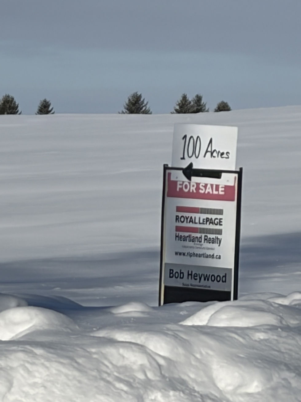Farmland values in Huron County climbed in 2025, and that trend is expected to continue this year.