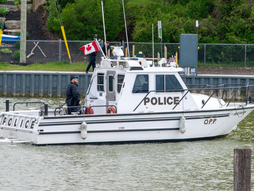 Body of missing swimmer recovered near Port Franks