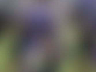 Bears, Titans clash in football season finale