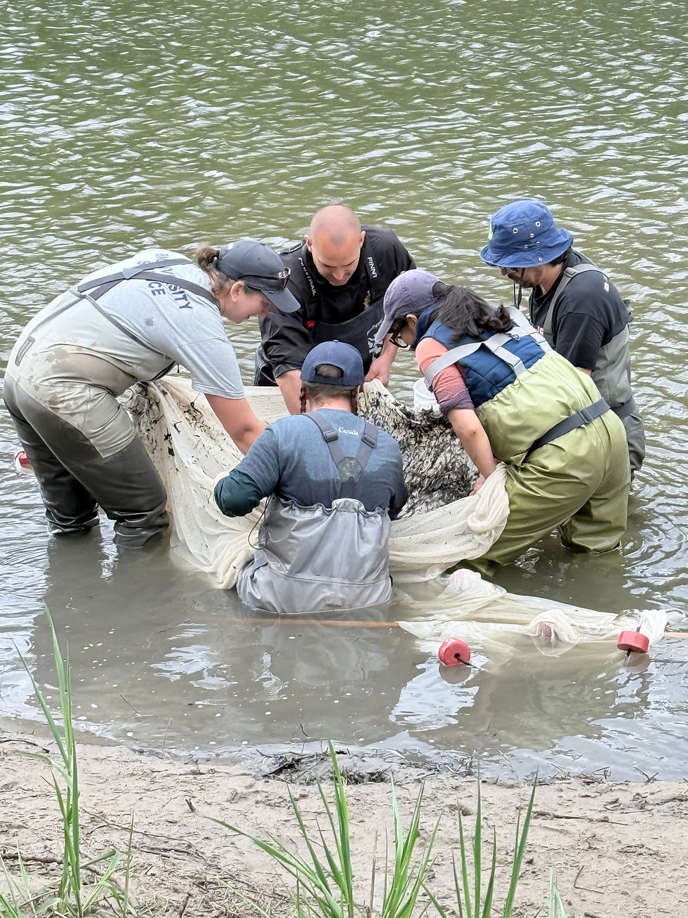 Fisheries Canada turns to Grand River in species recovery effort
